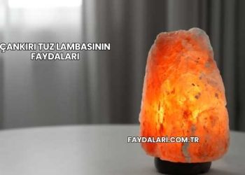 Çankırı Tuz Lambasının Faydaları