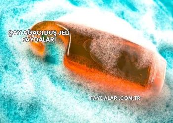 Çay Ağacı Duş Jeli Faydaları