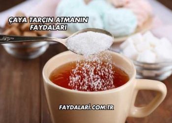 Çaya Tarçın Atmanın Faydaları