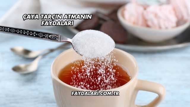 Çaya Tarçın Atmanın Faydaları