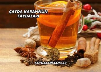 Çayda Karanfilin Faydaları