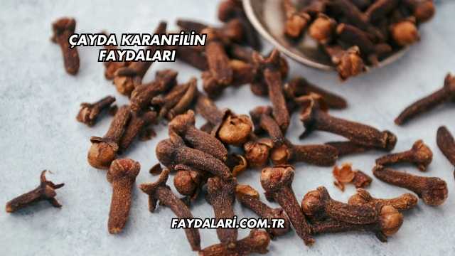 Çayda Karanfilin Faydaları