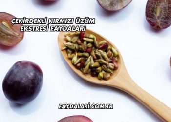 Çekirdekli Kırmızı Üzüm Ekstresi Faydaları