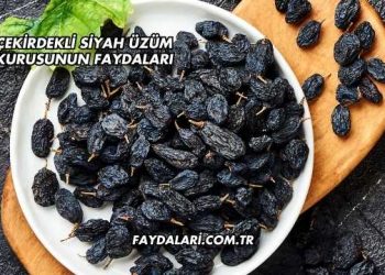 Çekirdekli Siyah Üzüm Kurusunun Faydaları
