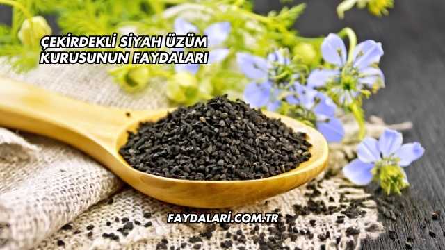 Çekirdekli Siyah Üzüm Kurusunun Faydaları