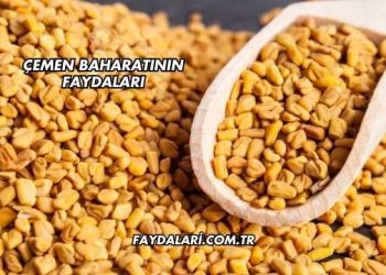 Çemen Baharatının Faydaları