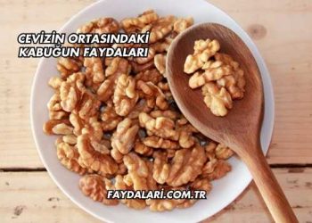 Cevizin Ortasındaki Kabuğun Faydaları