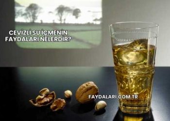 Cevizli Su İçmenin Faydaları Nelerdir?