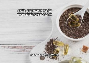 Chia Tohumu Yağı Kapsülü Faydaları