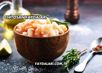 Chitosan Faydaları