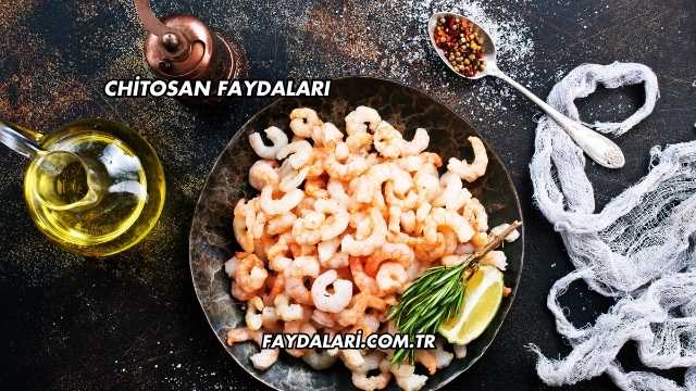 Chitosan Faydaları