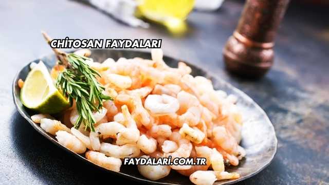 Chitosan Faydaları