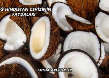 Çiğ Hindistan Cevizinin Faydaları