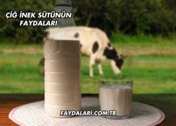 Çiğ İnek Sütünün Faydaları