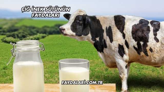 Çiğ İnek Sütünün Faydaları
