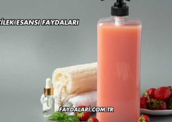 Çilek Esansı Faydaları