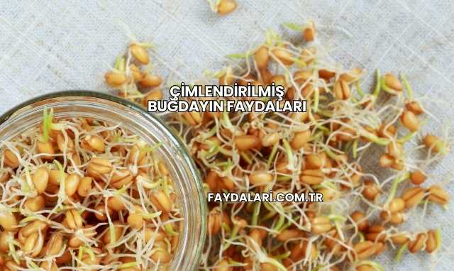 Çimlendirilmiş Buğdayın Faydaları