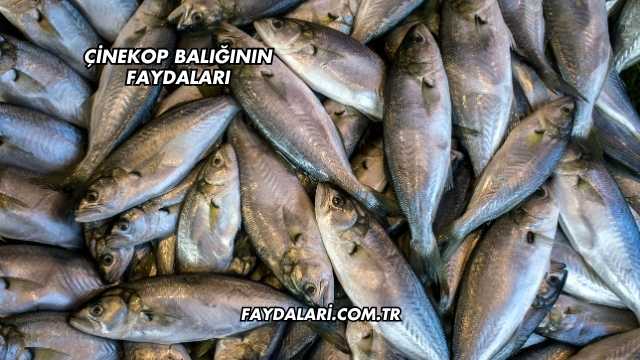 Çinekop Balığının Faydaları