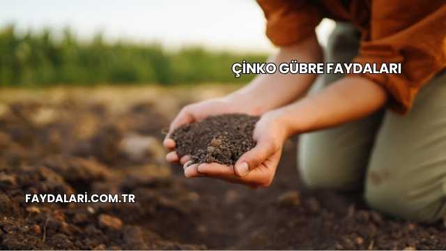 Çinko Gübre Faydaları