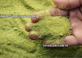Çinko Gübre Faydaları