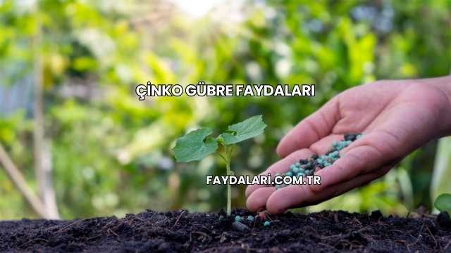 Çinko Gübre Faydaları