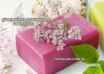 Çitlembik Sabununun Faydaları