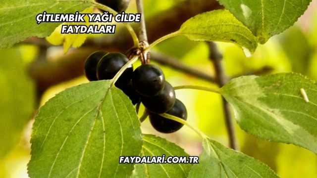 Çitlembik Yağı Cilde Faydaları