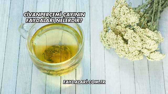 İğde Yağının Faydaları Nelerdir?