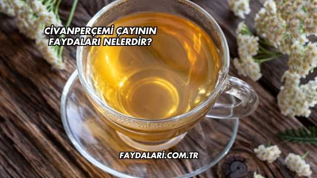 Civanperçemi Çayının Faydaları Nelerdir?