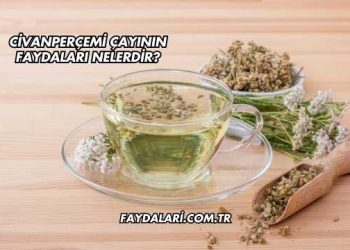 Civanperçemi Çayının Faydaları Nelerdir?