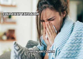 Coldaway Faydaları