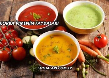 Çorba İçmenin Faydaları