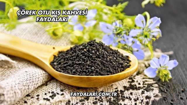 Çörek Otu Kış Kahvesi Faydaları
