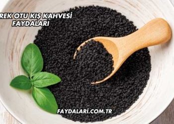 Çörek Otu Kış Kahvesi Faydaları