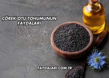 Çörek Otu Tohumunun Faydaları