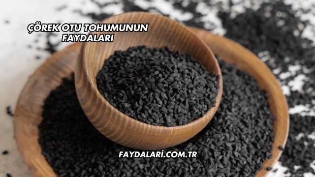 Çörek Otu Tohumunun Faydaları