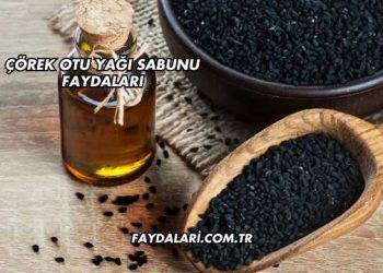 Çörek Otu Yağı Sabunu Faydaları