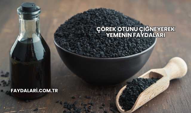 Çörek Otunu Çiğneyerek Yemenin Faydaları