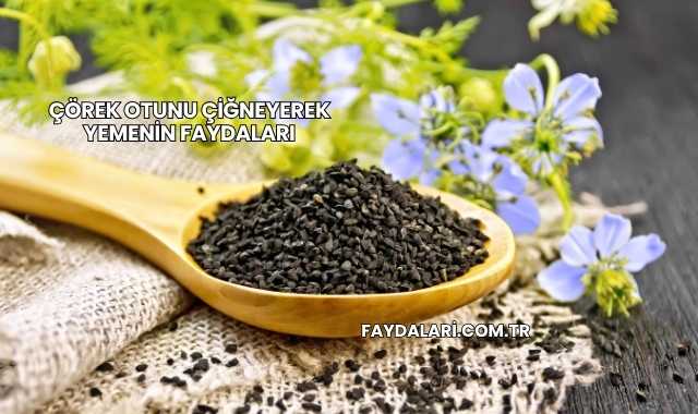 Çörek Otunu Çiğneyerek Yemenin Faydaları
