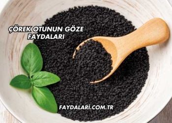 Çörek Otunun Göze Faydaları