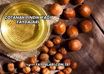 Çotanak Fındık Yağı Faydaları