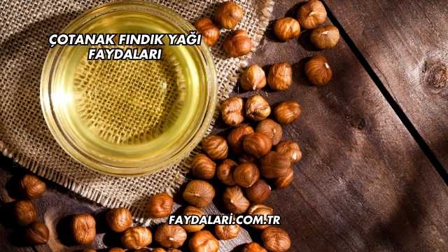 Çotanak Fındık Yağı Faydaları