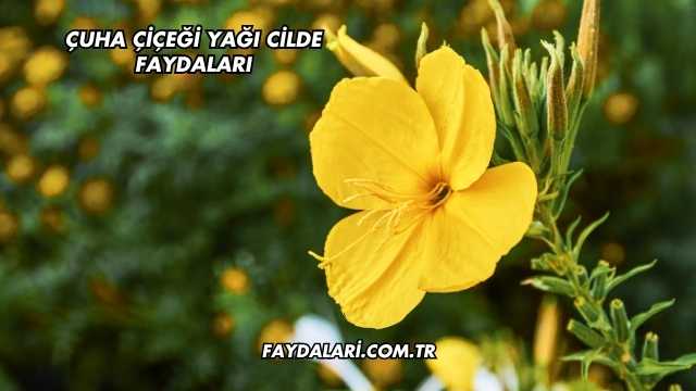 Çuha Çiçeği Yağı Cilde Faydaları