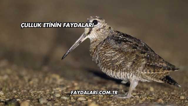Çulluk Etinin Faydaları