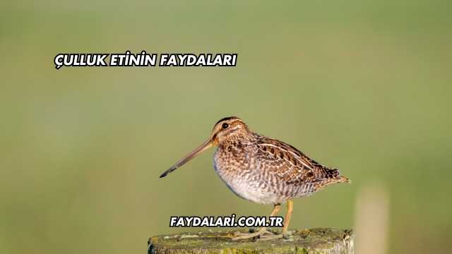Çulluk Etinin Faydaları