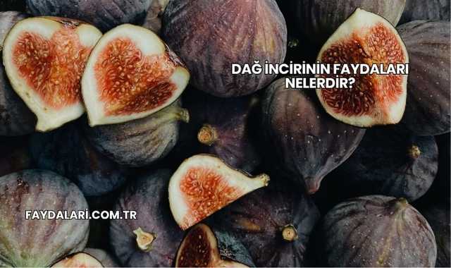 Dağ İncirinin Faydaları Nelerdir?
