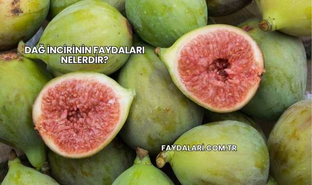 Dağ İncirinin Faydaları Nelerdir?
