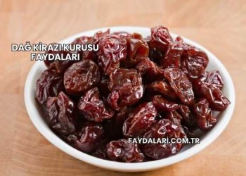 Dağ Kirazı Kurusu Faydaları
