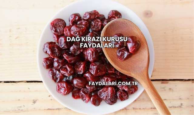 Dağ Kirazı Kurusu Faydaları