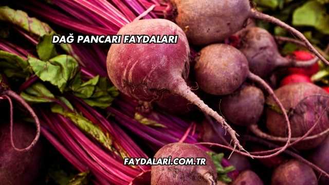 Dağ Pancarı Faydaları